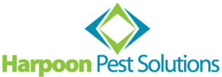 Co-Owner, Harpoon Pest Solutions